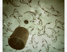 “Shark Swarm”